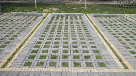植草磚價(jià)格一平方多少錢(qián)(草磚價(jià)格多少錢(qián)一平方)縮略圖