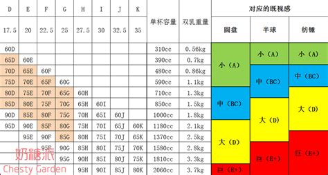 內(nèi)衣怎么選尺碼表,內(nèi)衣怎么選尺碼表圖解縮略圖