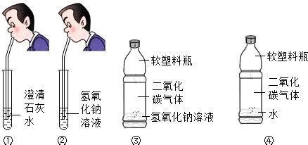 石灰水的化學式,石灰石的化學式縮略圖