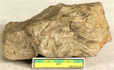 打火石哪個(gè)牌子的好(打火石哪個(gè)牌子的好用)縮略圖