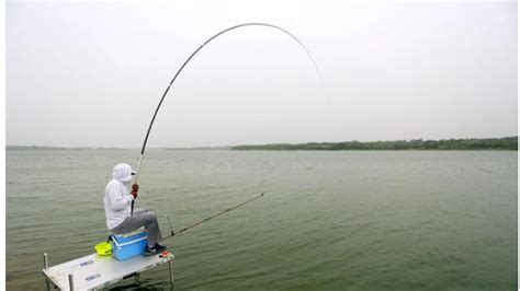釣魚竿19調(diào)和28調(diào)哪個好,釣魚竿19調(diào)和28調(diào)哪個好用縮略圖