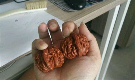 文玩核桃怎么上色快包漿快,文玩核桃怎么上色快包漿快一點(diǎn)縮略圖