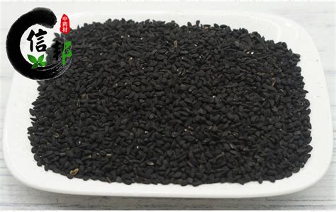 草籽種子,草籽種子在哪里買(mǎi)縮略圖