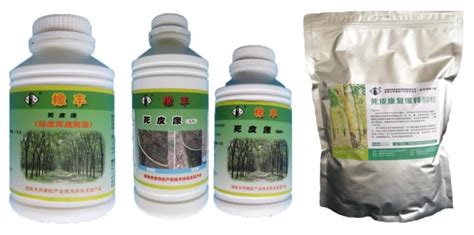 橡膠樹死皮恢復技術(橡膠樹如何防死皮)縮略圖