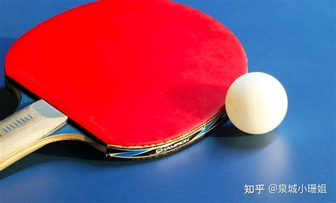 乒乓球拍推薦前十名,乒乓球拍推薦前十名品牌縮略圖