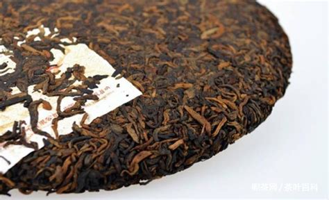 古韻流香普洱茶官網(wǎng),古韻流香普洱茶官網(wǎng)冰島2020縮略圖