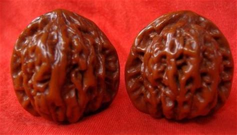 文玩核桃排名前十名品種,文玩核桃的種類(lèi)及排名縮略圖