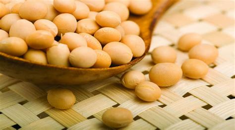 大豆蛋白質(zhì)含量,大豆蛋白質(zhì)含量多少縮略圖