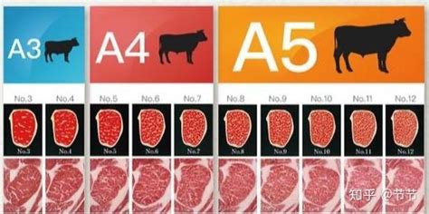 牦牛肉和普通牛肉的區別,牦牛肉和普通牛肉的區別圖片縮略圖