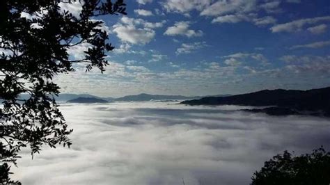 普洱旅游攻略必去景點,普洱旅游攻略必去景點推薦縮略圖