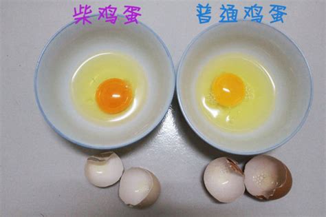 柴雞蛋全部小說在線免費閱讀,柴雞蛋全部小說縮略圖