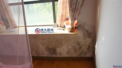 窗臺滲水(窗臺滲水找誰維修)縮略圖