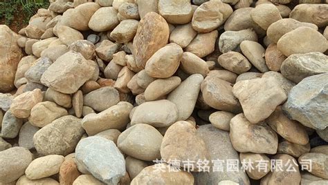 鵝卵石廠家鵝卵石批發(鵝卵石廠家鵝卵石批發價格)縮略圖