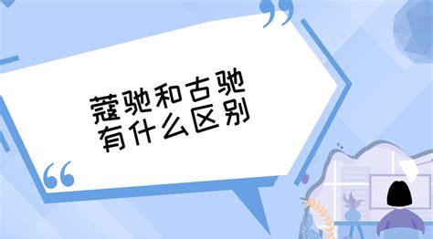 蔻馳和古馳區別(蔻馳和古馳區別logo)縮略圖