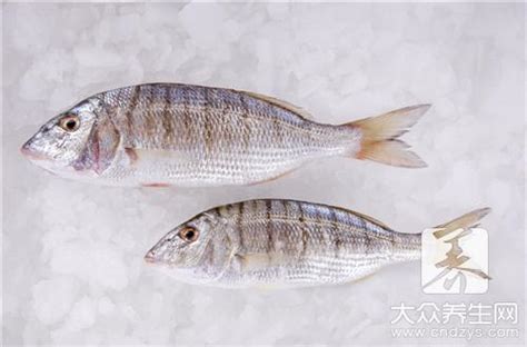瑪麗魚公母對(duì)照?qǐng)D(瑪麗魚公母對(duì)照?qǐng)D片)縮略圖