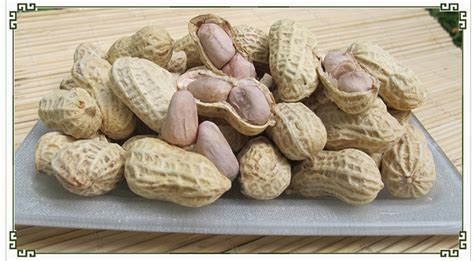 生花生(生花生吃了有什么好處和壞處)縮略圖