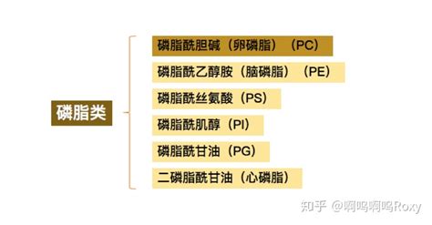 軟磷脂和卵磷脂的區別(軟磷脂和卵磷脂的區別是啥)縮略圖