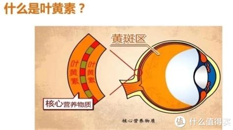 葉黃素對(duì)近視有用嗎(葉黃素對(duì)近視有用嗎價(jià)格)縮略圖