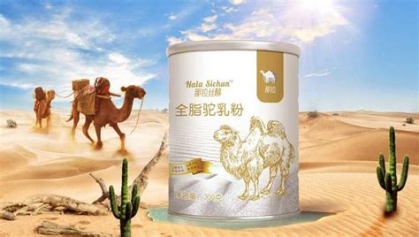 駱駝奶多少錢一斤,駱駝奶多少錢一斤還是一包縮略圖