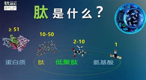氨基酸的功效與作用,氨基酸的功效與作用適合哪些人縮略圖