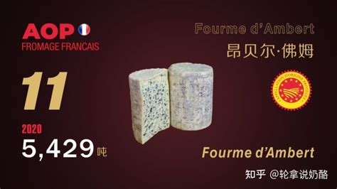 藍紋奶酪為什么這么臭(藍紋奶酪有多臭)縮略圖
