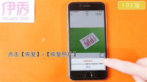 相片刪除怎么恢復,相片刪除怎么恢復圖片縮略圖