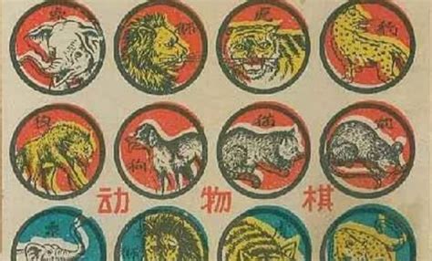 斗獸棋玩法教學視頻(斗獸棋玩法教學視頻陷阱)縮略圖