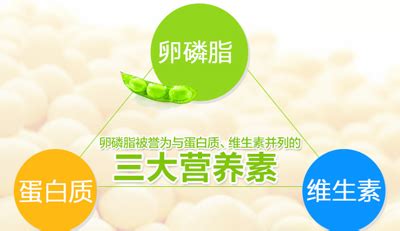 卵磷脂膠囊的功效與作用及禁忌癥,卵磷脂膠囊功效與作用縮略圖