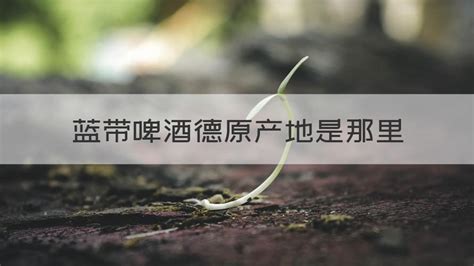 藍帶啤酒產地是哪里,藍帶啤酒產地是哪里的縮略圖