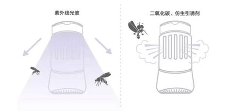 驅(qū)蚊燈有用嗎(驅(qū)蚊燈有用嗎有效果嗎)縮略圖