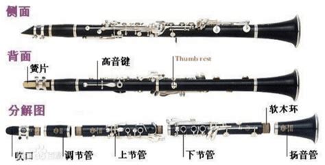 黑管樂器初學入門視頻(黑管樂器初學入門視頻教程)縮略圖