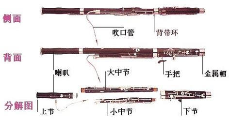 巴松樂器,巴松樂器獨奏縮略圖