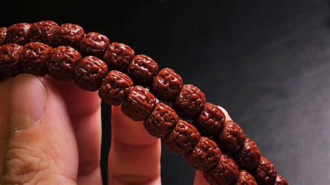 菩提子是什么材質(菩提子是什么材質做的)縮略圖