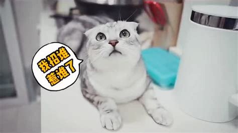 馬達與發財,馬達與發財微博縮略圖
