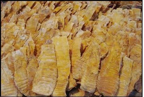 筍干價格多少錢一斤(筍干批發(fā)價格多少錢一斤)縮略圖