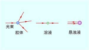 達(dá)利園效應(yīng)和丁達(dá)爾效應(yīng)的區(qū)別(達(dá)利園效應(yīng)和丁達(dá)爾效應(yīng)的區(qū)別是什么)縮略圖
