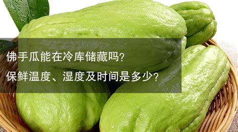 佛手瓜可以生吃嗎?(佛手瓜可以生吃嗎如何吃)縮略圖