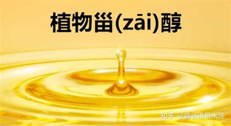 稻米油的營養價值及功效,稻米油的營養價值及功效與作用縮略圖