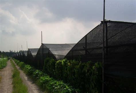 防塵網生產廠家,防塵網生產廠家防塵網批發(fā)縮略圖