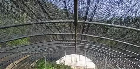 遮陽網圖片及價格(遮陽網價格多少錢)縮略圖