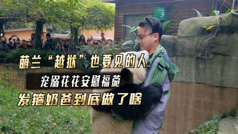 發(fā)箍奶爸為啥辭職了,發(fā)箍奶爸為什么被解雇縮略圖