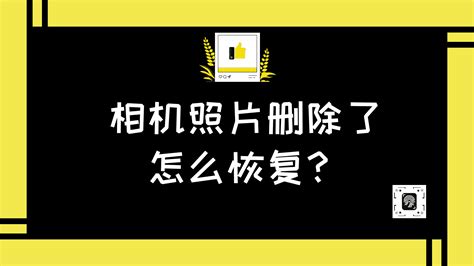相機照片刪除怎么恢復找回(相機照片刪除了怎么找回來)縮略圖