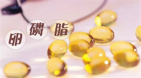 卵磷脂有什么功效和作用(卵磷脂有什么功效和作用及禁忌)縮略圖