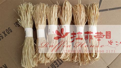 拉菲草產自哪里(拉菲草的產地)縮略圖