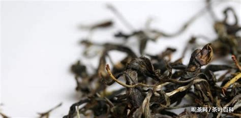 古樹茶與老樹茶的區(qū)別,古樹茶和老樹茶的區(qū)別縮略圖