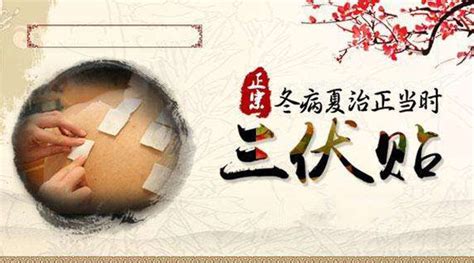 三伏貼怎么貼,多久貼一次(三伏貼怎么貼,多久貼一次有鼻炎怎么貼)縮略圖