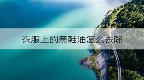 鞋油弄衣服上怎么去除(鞋油弄衣服上怎么去除小妙招)縮略圖