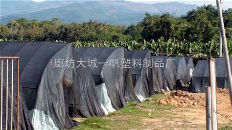 防塵網廠家聯(lián)系電話,防塵網廠家聯(lián)系電話號碼縮略圖