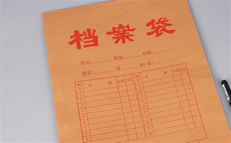 檔案袋不見了怎么辦(檔案袋不見了怎么辦補(bǔ)辦)縮略圖