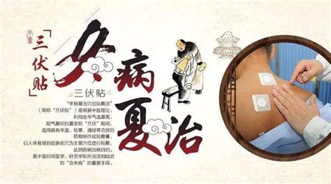 三伏貼時間2023年三伏貼時間表,三伏貼時間2023年時間表圖片縮略圖